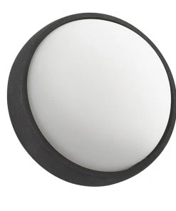 Philips Hue Eagle Outdoor LED Garden Wall Light Black 3W 270lm