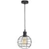 4lite WiZ Connected LED Decorative Birdcage Smart Pendant Light Black 6.5W 720lm