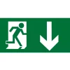 Aurora EN-LG2D Emergency Exit Down Legend 145 X 290mm